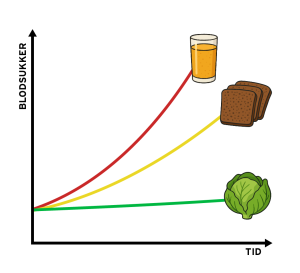 Blodsukker stiger hurtigst efter øl, langsommere efter rugbrød og mindst efter salat.